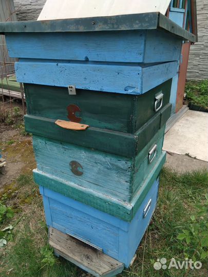 Продам ульи для пчел