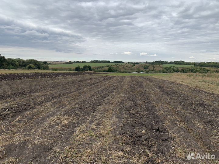 Картофель деревенский