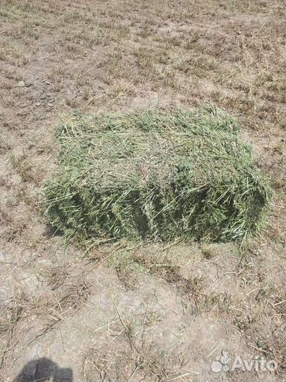 Сено, солома, доставка