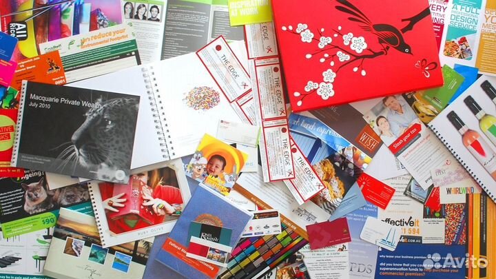 Типография все виды печати