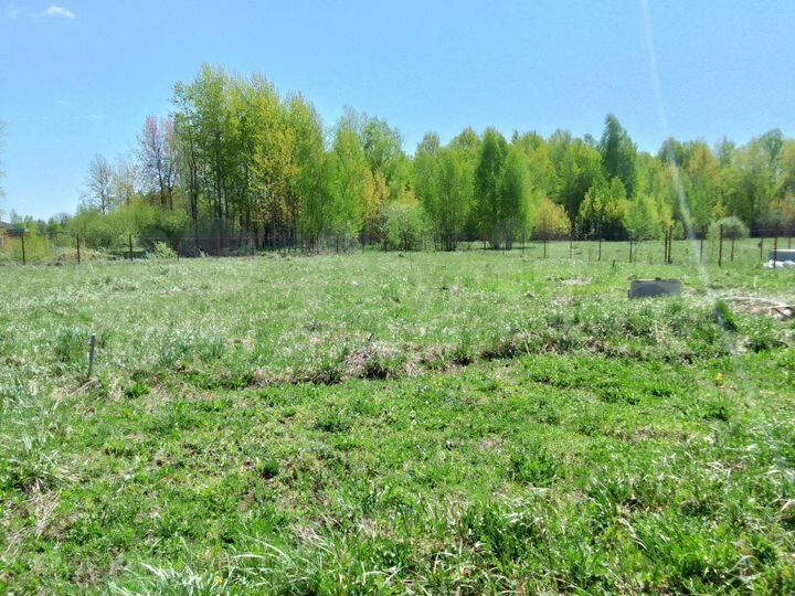 Дом 60 м² на участке 17 сот.