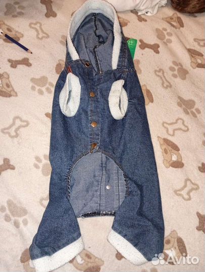 Вещи для собак, трусы, платья, шлейка, намордники