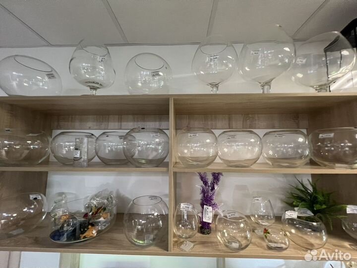 Аквариум бокал, круглые аквариумы