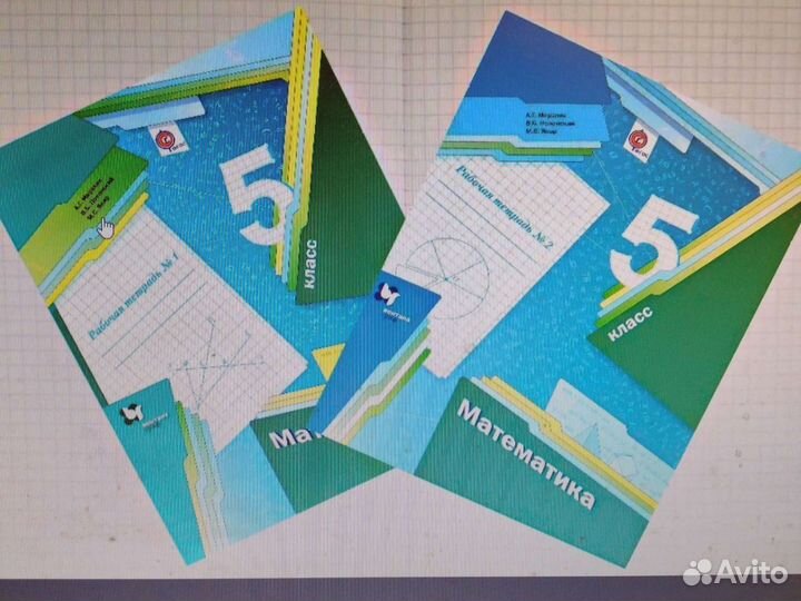 Мерзляк Математика 5 кл Рабочие тетради
