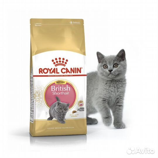 Корм royal canin 2 кг для британских котят