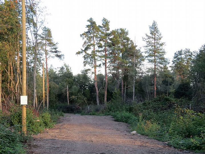 Участок 24,5 сот. (ИЖС)