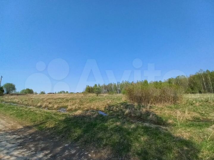 Участок 50 сот. (ИЖС)