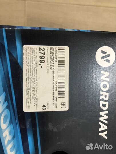 Лыжные ботинки