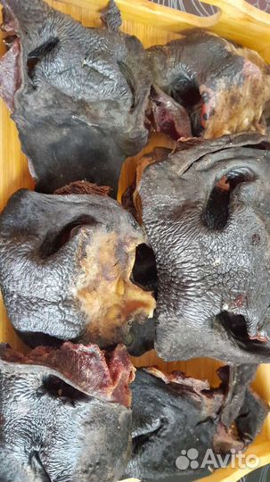 Бычий корень и сушка бесплатная доставка