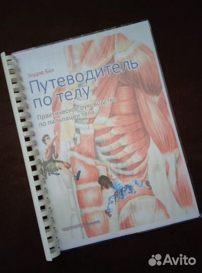 Путеводитель по телу Э. Бил