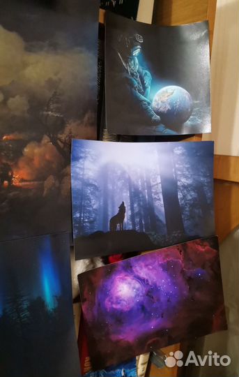 Фото картины, постеры