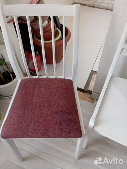 Продам стулья