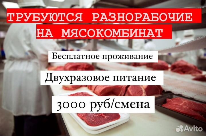 Разнорабочий на мясокомбинат в г. Курск
