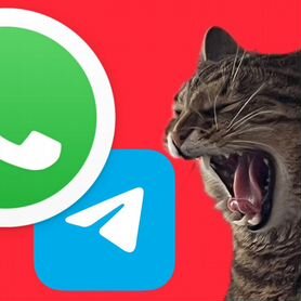 Помощь с WhatsApp, Telegram, переход в IT сферу