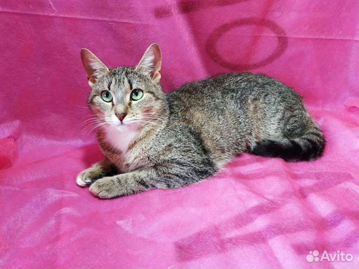 Красотка Глаша