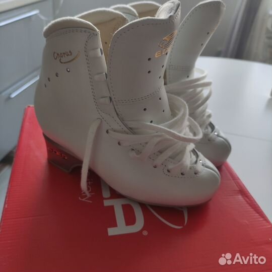 Фигурные коньки edea chorus 230