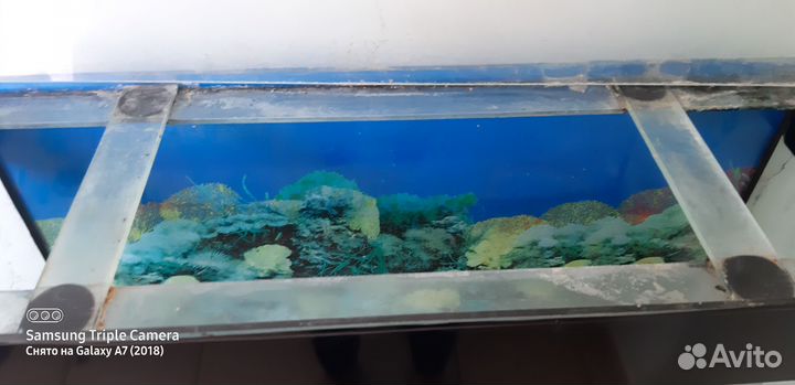 Аквариум