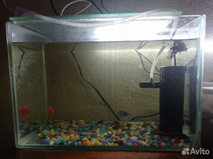 Аквариум