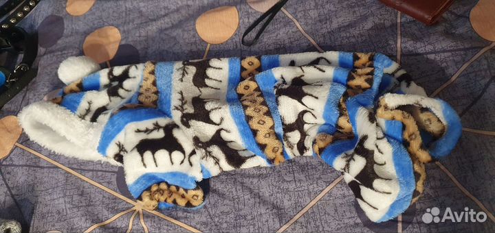 Одежда для собак