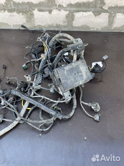 Проводка подкапотная hyundai solaris 2 kia rio