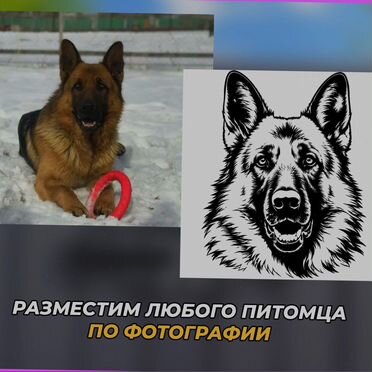 Указатель на дом по фото животных