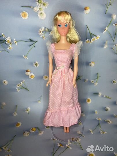 Barbie sweet 16&skipper& wet n wild&wrstern