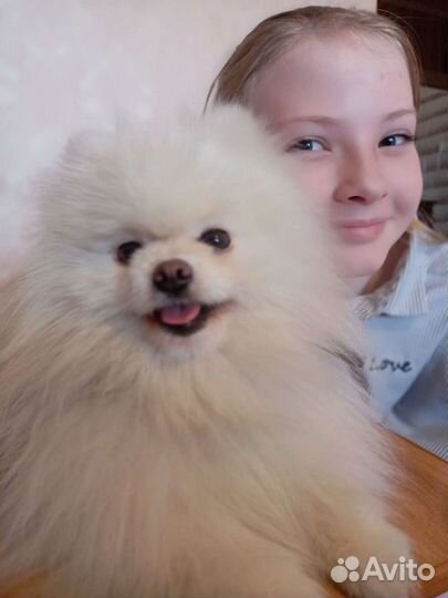 Репетитор 1-7 кл., подготовка к школе с 3 лет