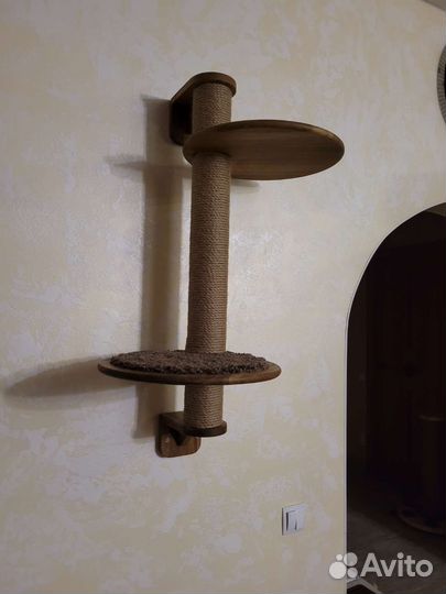 Когтеточка