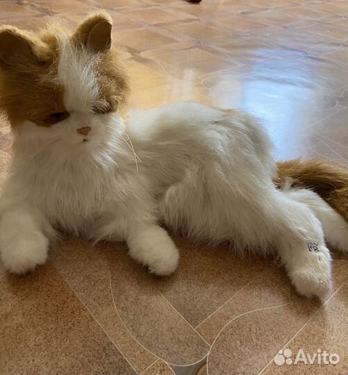 Интерактивная кошка