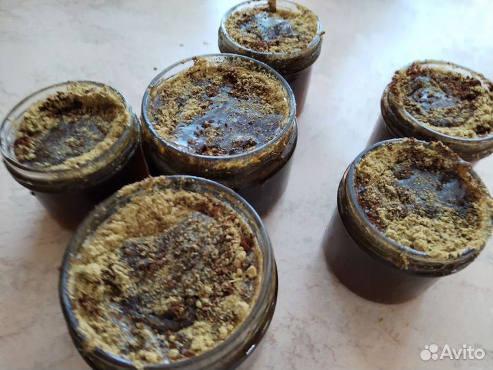 Медогон антипаразитарный