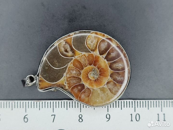 Аммонит кулон