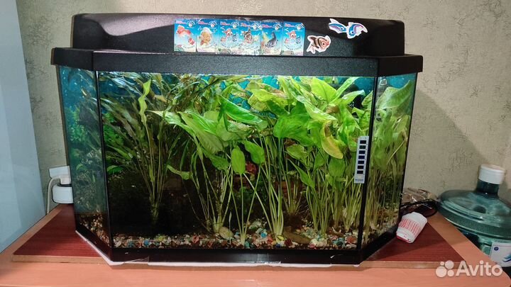 Продам аквариум