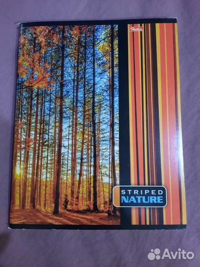 Тетрадь общая 96 листов клетка и линия