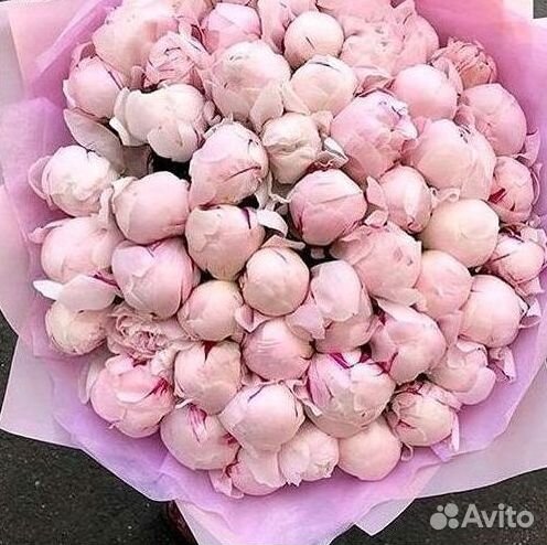 Пионы Букет