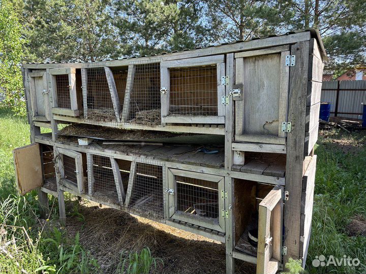 Клетки для кроликов