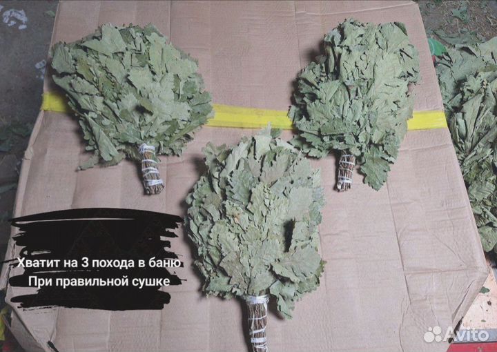 Веник для парения в бане