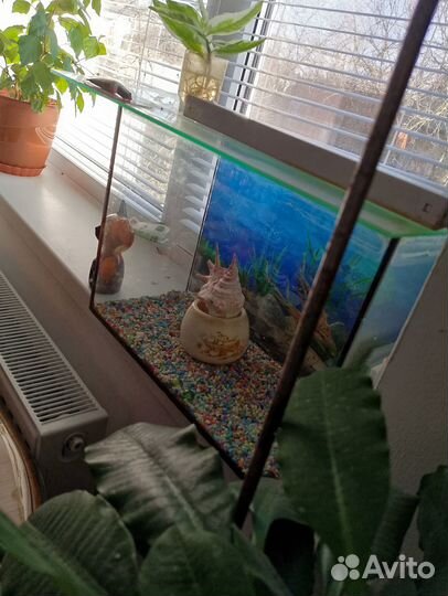 Аквариум 20л