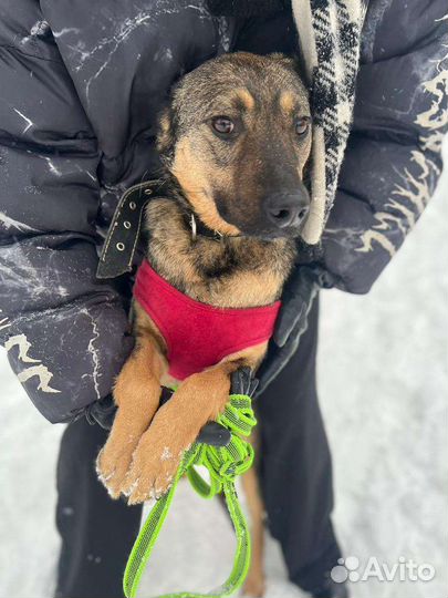 Загляните в эти глаза
