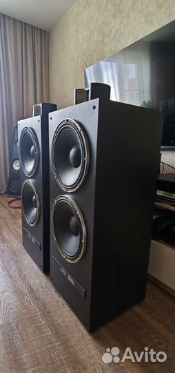 Колонки Электроника 150ас-001