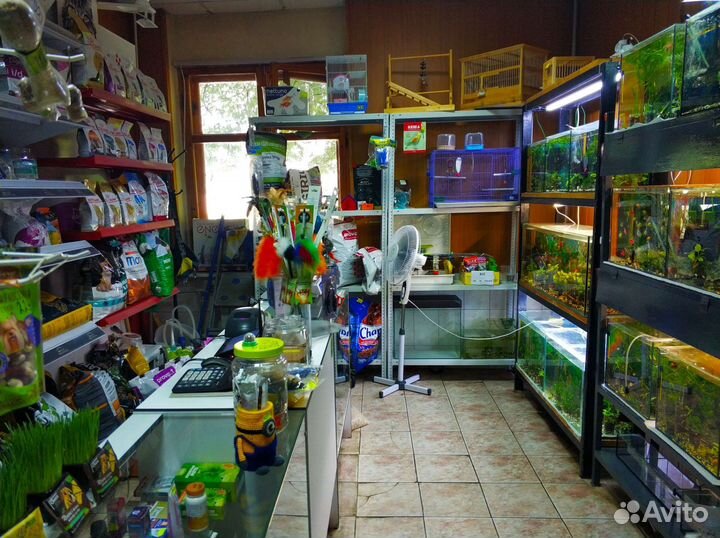 Действующий зоомагазин. Готовый бизнес