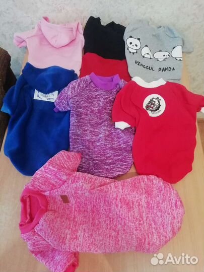 Одежда для собак