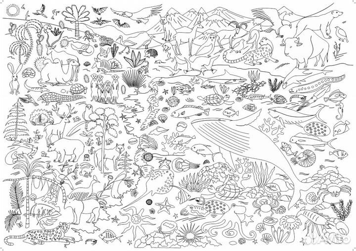 Мега-раскраска 100х70см 