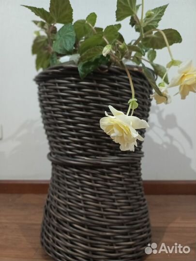 Кашпо из ротанга для растений