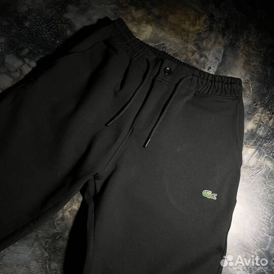 Брюки мужские Lacoste premium