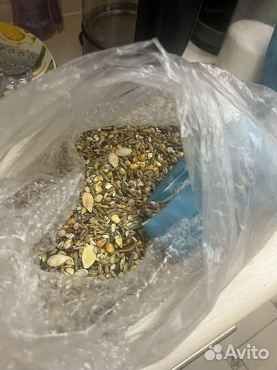 Корм для морских свинок