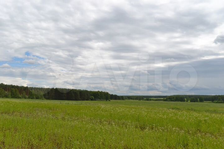 Участок 4 га (ИЖС)