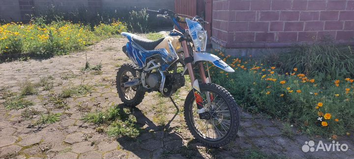 Питбайк motoland apex 125e