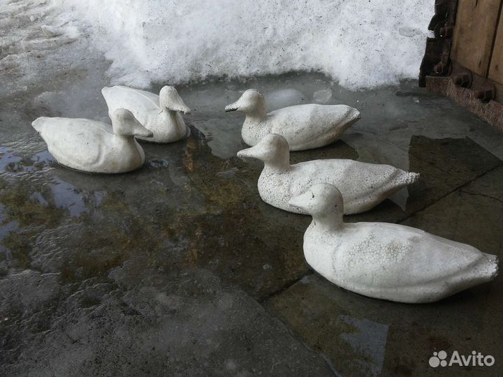 Утки подсадные для охоты