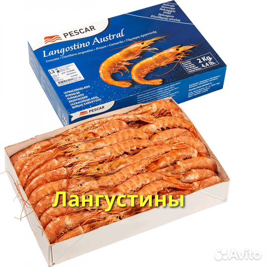 Лангустины L1