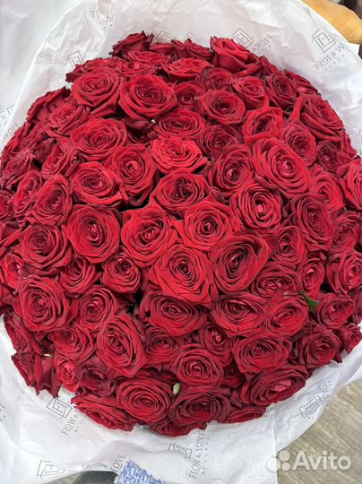 Доставка 101 розы круглосуточно